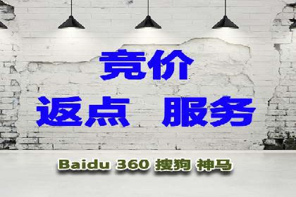 突破瓶颈：托管竞价SEM实战案例分析